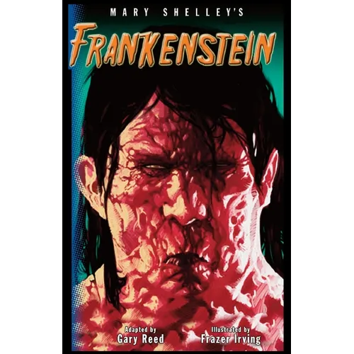 Frankenstein-The Graphic Novel