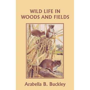 Wild Life in Woods and Fields (Yesterday's Classics) - Paperback