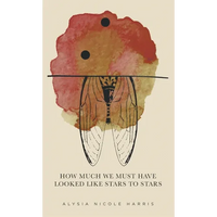 How Much We Must Have Looked Like Stars To Stars: Winner of the 2015 New Women's Voices Series - Hardcover