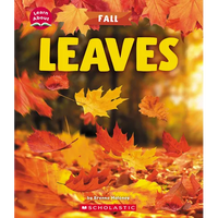 Leaves (Learn About: Fall) - Paperback