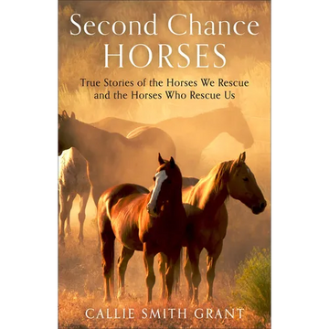 Second-Chance Horses - Hardcover