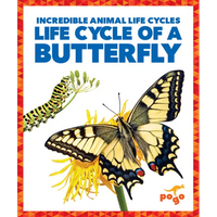 Life Cycle of a Butterfly - Paperback