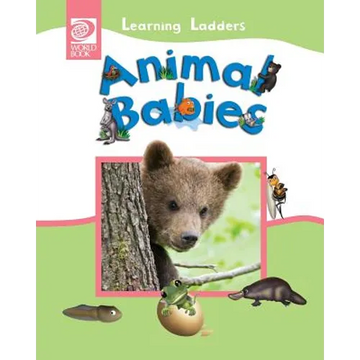 Animal Babies - Paperback