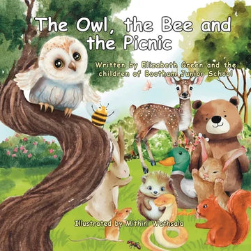 The Owl, the Bee and the Picnic - Paperback