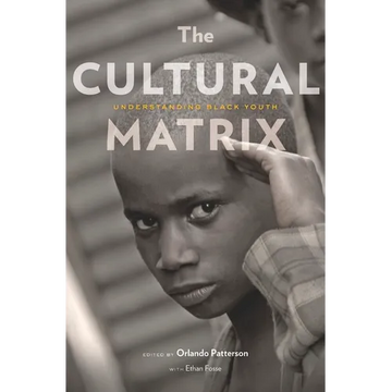 The Cultural Matrix: Understanding Black Youth - Paperback