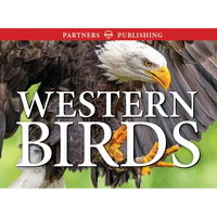 Western Birds: Pocket Guide - Paperback