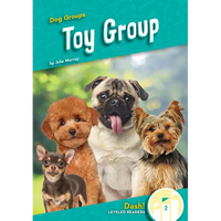 Toy Group - Library Binding