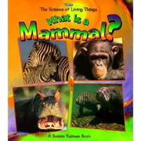 What Is a Mammal? - Paperback