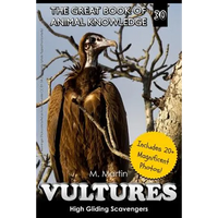 Vultures: High Gliding Scavengers - Paperback