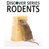 Rodents - Hardcover