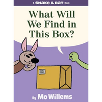 Snake & Bat: What Will We Find in This Box? - Hardcover