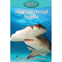 Hammerhead Sharks - Paperback