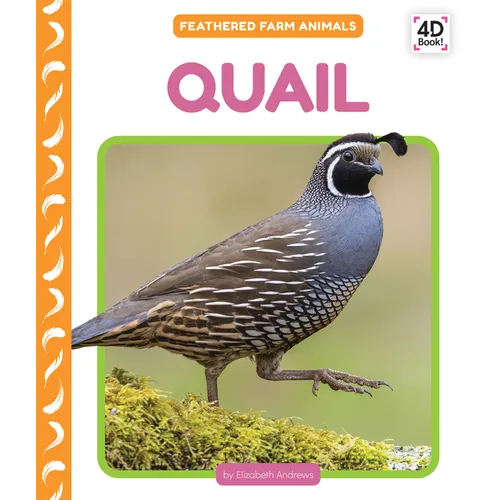 Quail