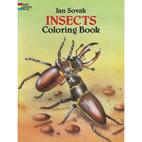 Insects Coloring Book - Paperback