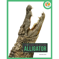 Alligator - Paperback