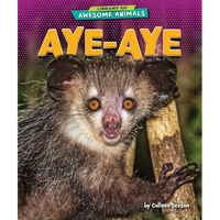Aye-Aye - Library Binding