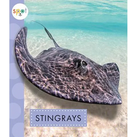 Stingrays - Paperback