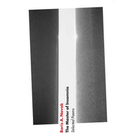 The Master of Insomnia: Selected Poems - Paperback