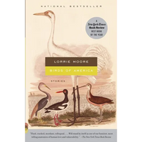 Birds of America: Stories - Paperback
