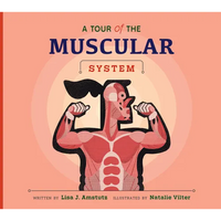 A Tour of the Muscular System - Paperback