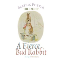The Tale of a Fierce Bad Rabbit - Paperback