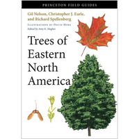 Trees of Eastern North America - Paperback