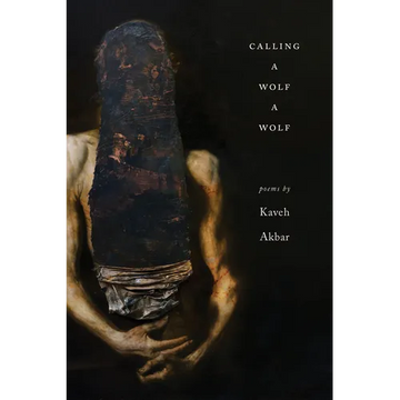 Calling a Wolf a Wolf - Paperback