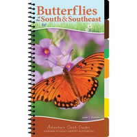 Butterflies of the South & Southeast: Your Way to Easily Identify Butterflies - Spiral