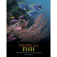 Tropical Fish: From Stingrays to Clown Fish - Hardcover