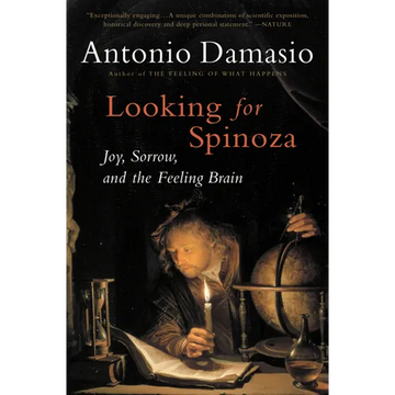 Looking for Spinoza: Joy, Sorrow, and the Feeling Brain - Paperback