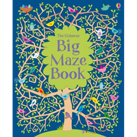 Big Maze Book - Paperback