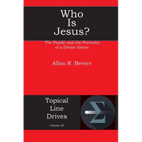 Who Is Jesus?: The Puzzle and the Portraits of a Divine Savior - Paperback