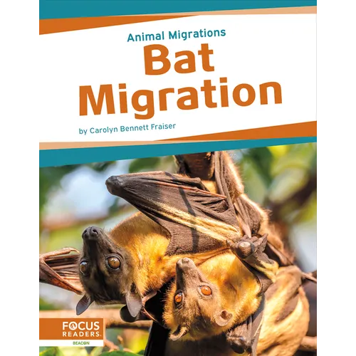 Bat Migration