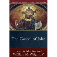 The Gospel of John - Paperback