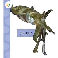 Squids - Paperback