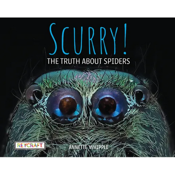 Scurry! the Truth about Spiders - Paperback