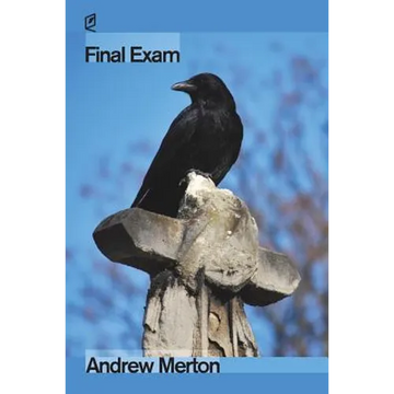 Final Exam - Paperback