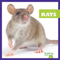 Rats - Library Binding