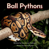 Ball Pythons - Paperback