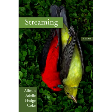 Streaming - Paperback