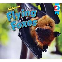 All about Flying Foxes - Library Binding