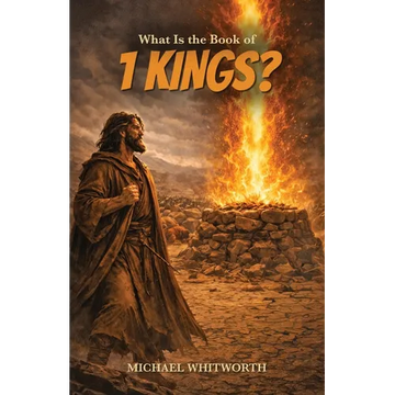 What Is the Book of 1 Kings? - Paperback