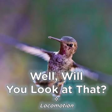 Well, Will You Look at That? Locomotion - Paperback