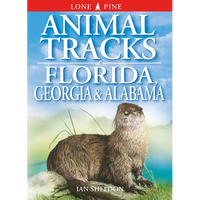 Animal Tracks of Florida, Georgia & Alabama - Paperback