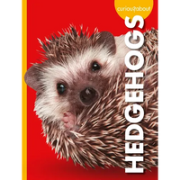 Curious about Hedgehogs - Paperback