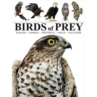 Birds of Prey: Stunning Photographs of the World's Great Hunting Birds - Paperback