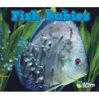Fish Babies - Paperback