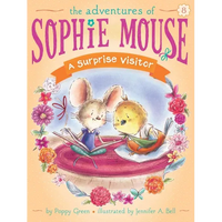 A Surprise Visitor - Paperback