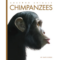 Chimpanzees - Paperback