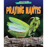 Praying Mantis - Paperback